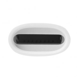 Lightning oplaadadapter voor Apple Pencil 1