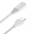 USB-C oplaadkabel voor Apple Pencil 1 - 50 cm